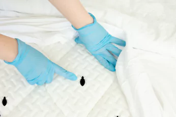 Pest Control