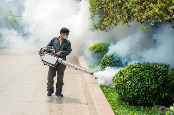Pest Control